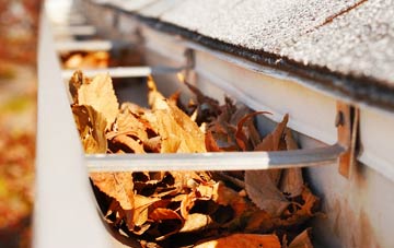 Mains Of Grandhome gutter cleaning companies