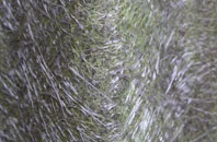 Mains Of Grandhome fibreglass roof work